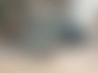 蘇州基地引入活性菌養雞技術