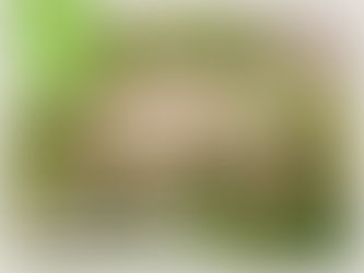 無花果沙拉油伴水耕沙律菜