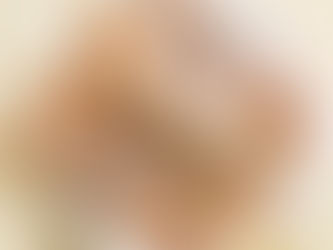 全新品牌喜樂雞