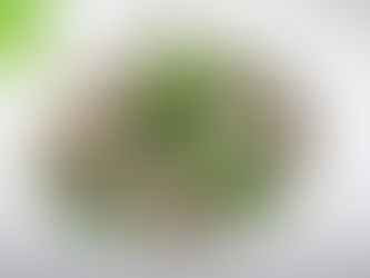 柯文滿食譜之鮮菇絲瓜浸魚腐