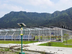 貴州高端科技農業水耕菜種植區
