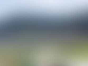 貴州高端科技農業水耕菜種植區