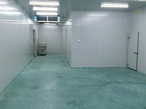 東莞蔬菜供應包裝中心即將啟用