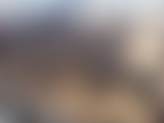 蘇州養的雞雞終於成熟了!