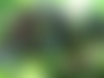 水果樹生出水果來了