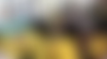 綠色農夫出席粵港澳大灣區“菜籃子”建設工作交流會