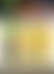 「綠色農夫」月餅禮盒