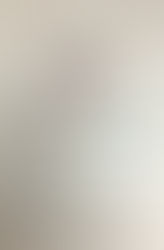 國際食安營商標誌計劃