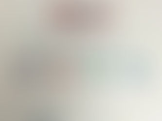 國際食安營商標誌計劃