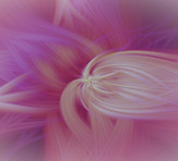 ink-text-effect_edited_edited.jpg