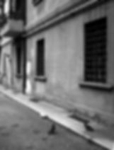 Mainly at Bologna, where I stayed for 6 months.