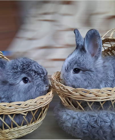 20241025_101548 (1).png