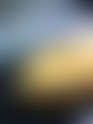 Цитриновий тарт 