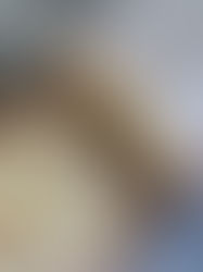 Кекс "Столичний". Простий рецепт з покроковими фото.