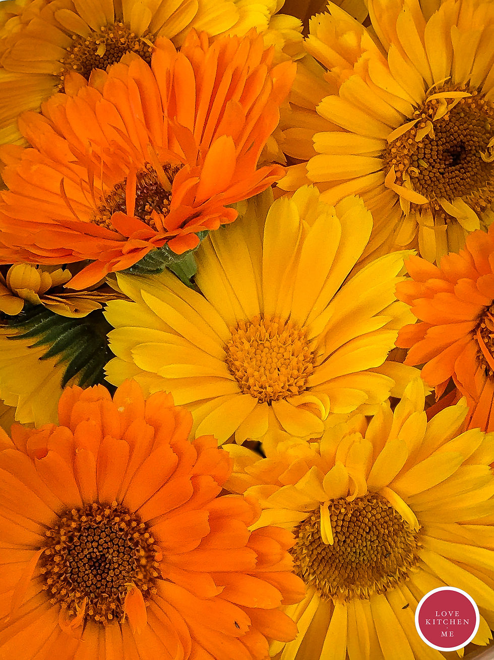 Прев'ю: Моночай Квіти Календули