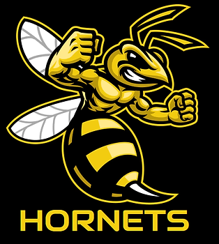 Hornets Logo.png