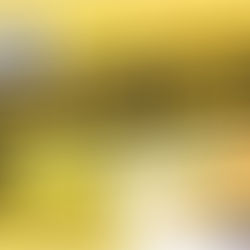 New On-Line Club Shop