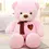 Thumbnail: Giant Scarf Huge Bear Plush Toys