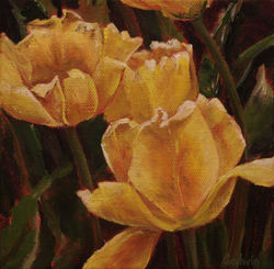 Flower Studies-Golden Memories