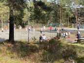 IMG_4466.jpeg