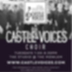 Castle Voices Season 17