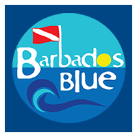 www.divebarbadosblue.com
