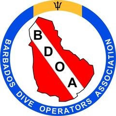 www.barbadosdiveshops.com