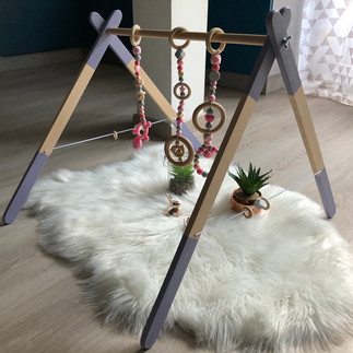 Modele violet et Rose