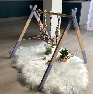 Modèle Violet