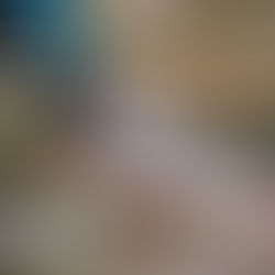 WEEK END SPECIAL MOUCHES DEVAUX