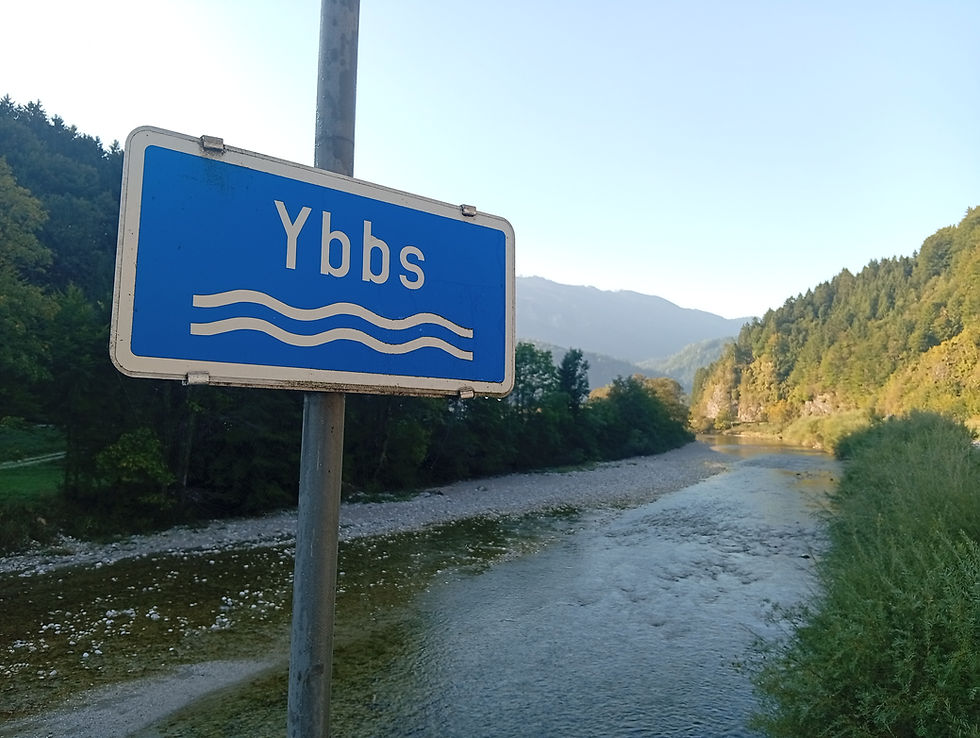 RESUME SEJOUR DE PÊCHE EN AUTRICHE: RIVIERE YBBS