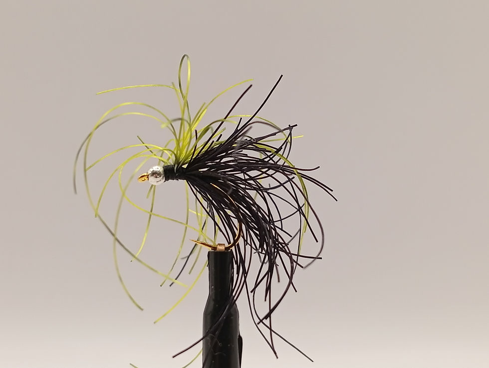 Miniature : POULPE BILLE