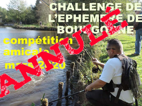 Coronavirus : l'Ephémère de Bourgogne annule ses évènements prévus au mois de mars 2020