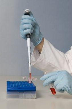 lab-work_2803088.jpg