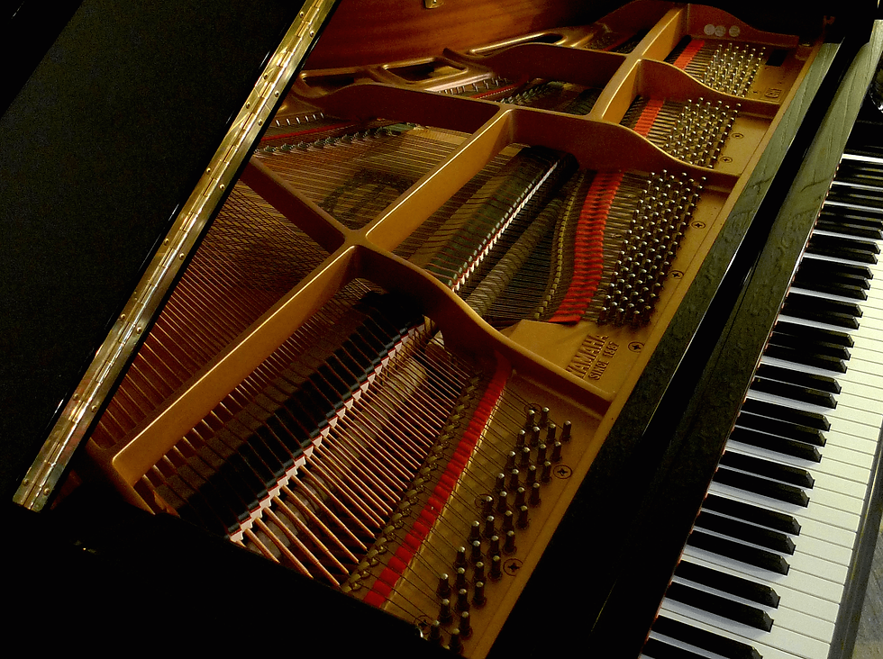Interior of piano