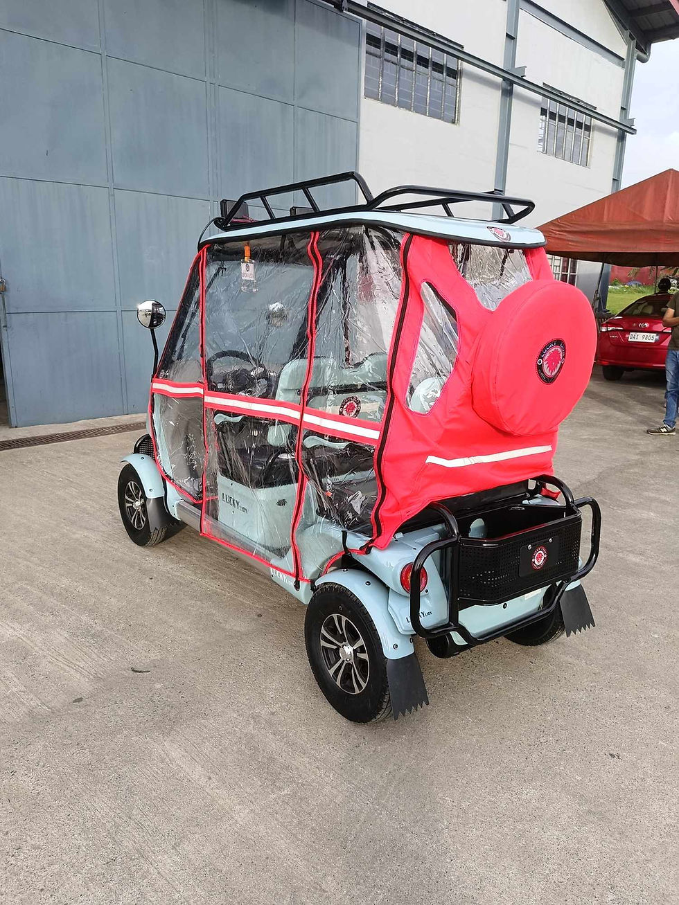 Thumbnail: MINI VOYAGER L1 LUCKY LION