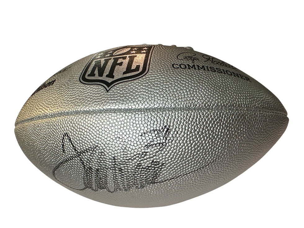 Thumbnail: Terrell Davis Signed The Duke Metallic Edition NFL Game Football (JSA)