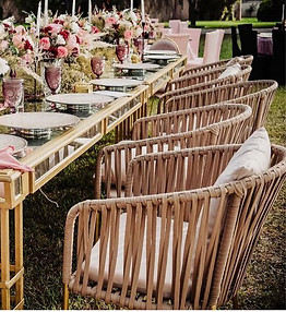 WhatsApp Image 2026-03-27 at 3.20.27 PM.jpeg