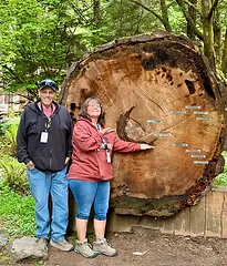Keith dawn tree.webp