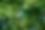 7350-light.webp