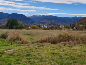 Rural Living in Bulgaria: Our Honest Experience