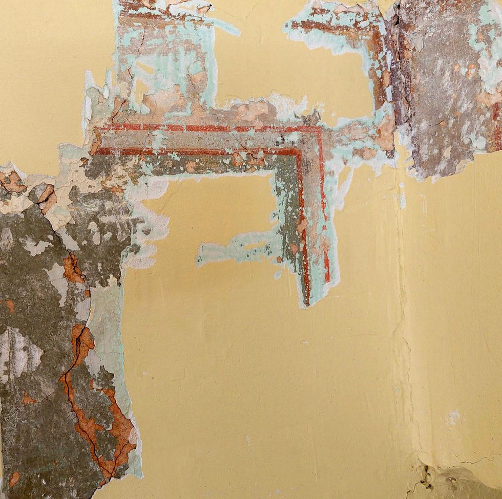 Belavas-muizas-kungu-ekas-sienu-ornaments-02