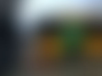 Busser kan kontrolleres fra Kina: 'Vi er alt for naive'