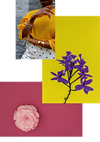 Zeichenfläche 1 Kopie 4.png