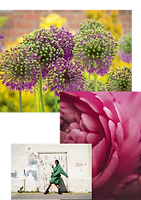 Zeichenfläche 1 Kopie 7.png