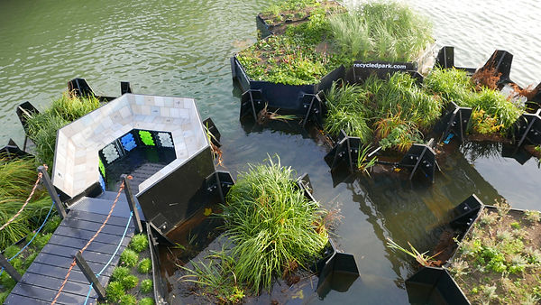 Recycled Park June 2019 (27).JPG