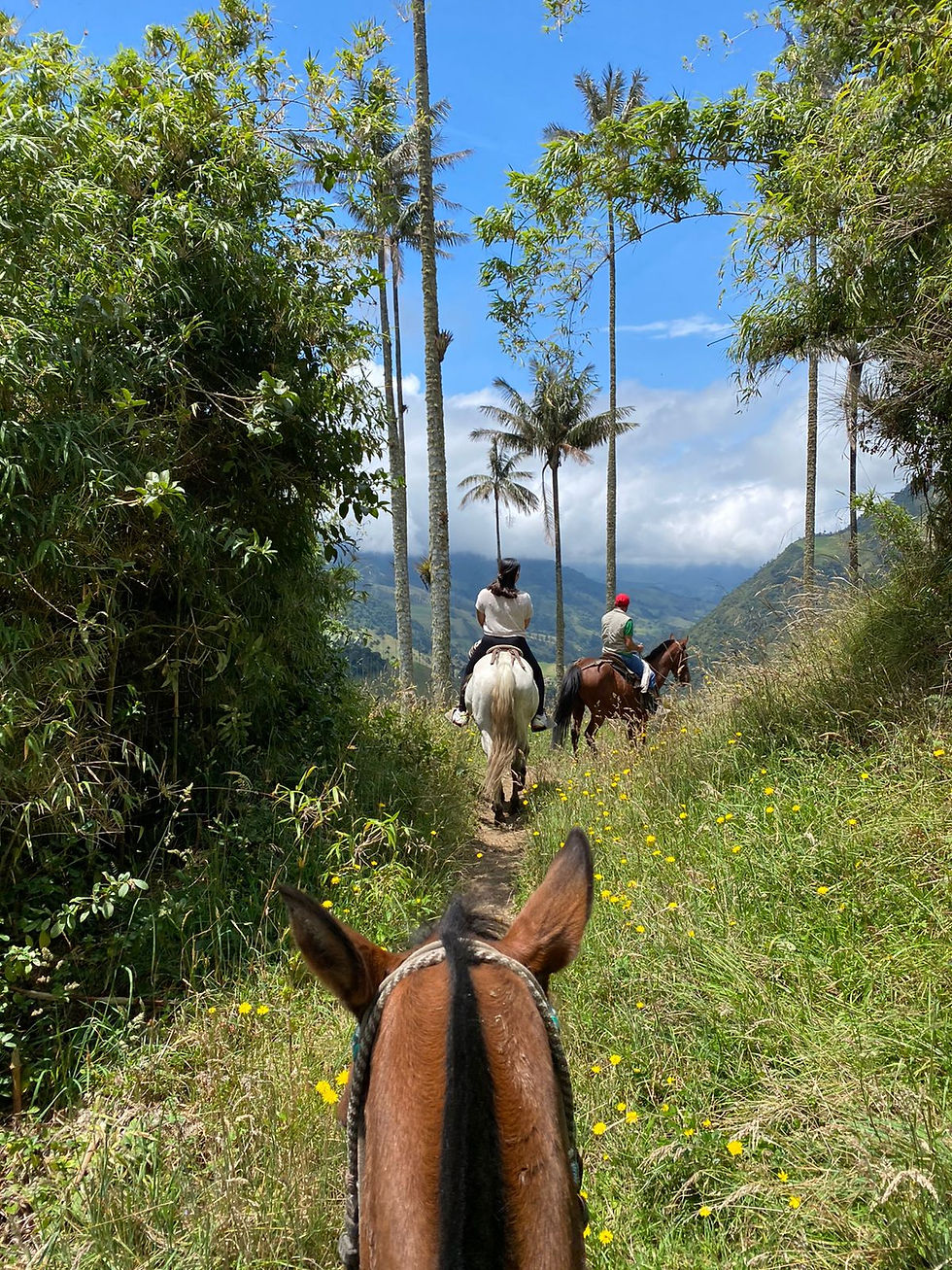 WhatsApp Image 2022-10-12 at 8.26.37 AM (1).jpeg