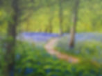 Bluebell Woods Pathway