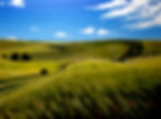 The Long Man