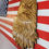 Thumbnail: 3D American Eagle Head Flag